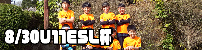 U11ESL杯